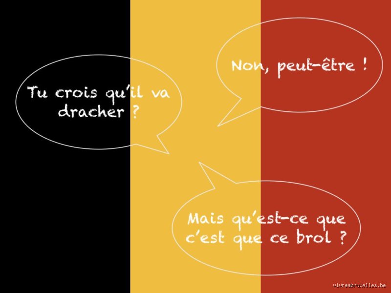 Comment les Belges appellent-ils les Français ? Les dessous d’une relation complexe entre "Fransquillons" et cousins d’Outre-Quiévrain