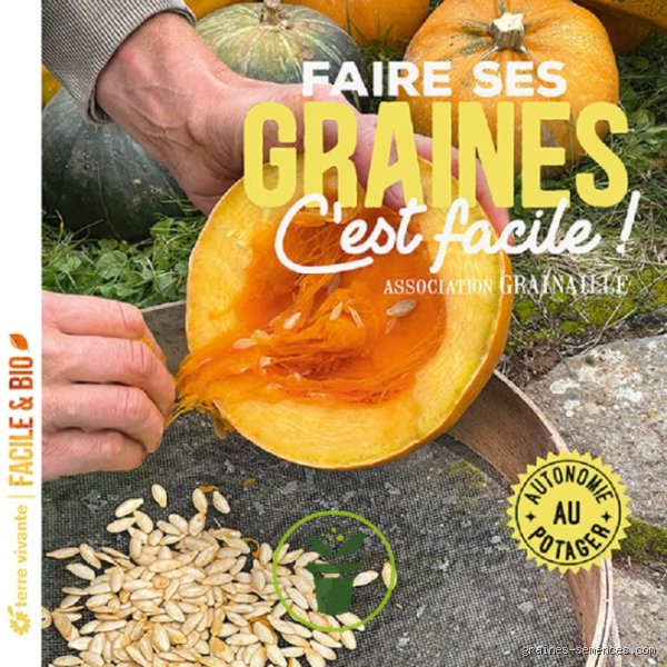 Comment on fabrique les graines : tout ce qu'il faut savoir pour bien commencer