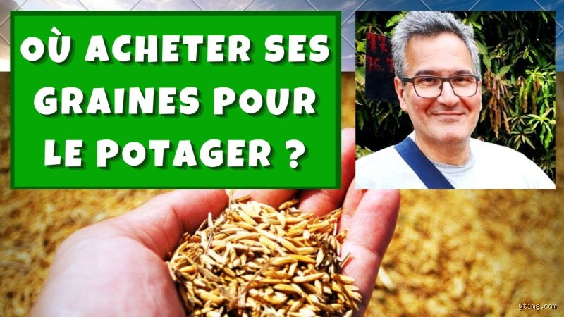 Où trouver des graines non stériles ?