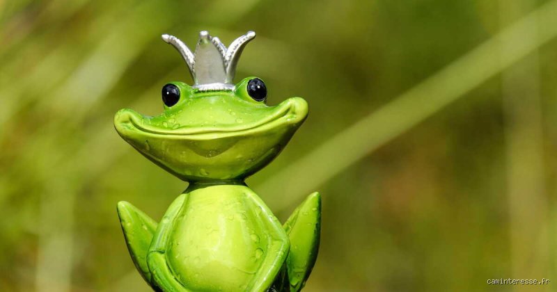 Pourquoi les Anglais appellent-ils les Français les grenouilles ? Aux origines d’un sobriquet entre gastronomie et mépris