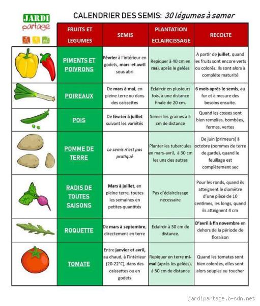 Quel semis au mois de mai ? Ne rate pas cette période clé