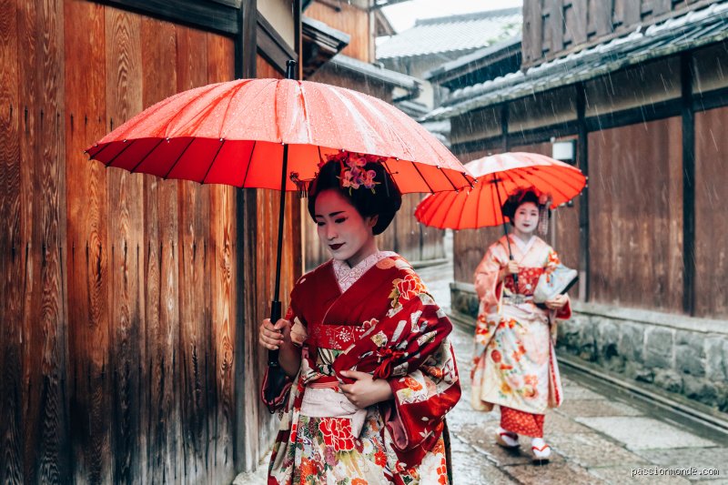 La particularité fascinante des geishas : au-delà du mythe