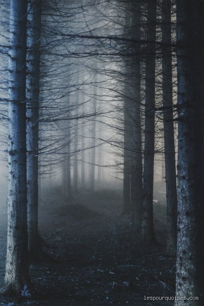 Quels sont les lieux les plus mystérieux de France : entre légendes tenaces et anomalies géologiques inexpliquées