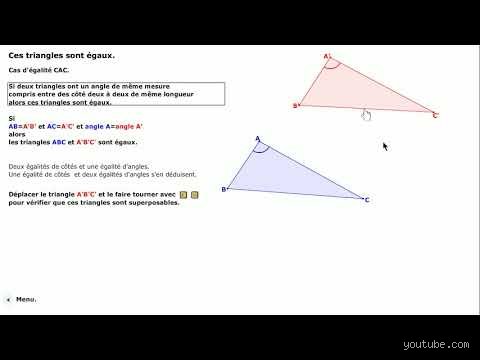 Quelle est la règle en cas d'égalité ? Le guide complet pour trancher quand le score refuse de basculer