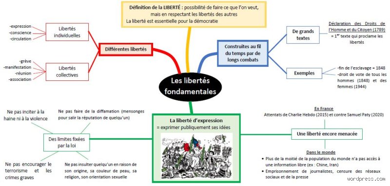 Quelles sont les deux libertés les plus essentielles aux Français ? Analyse d'un héritage électrique entre expression et mouvement