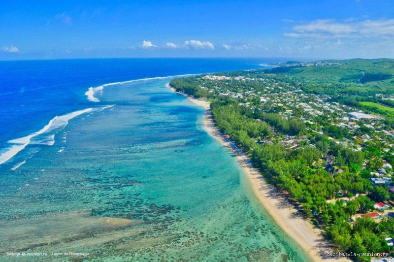 Quel est le plus beau lagon de La Réunion ? (Partie 1 : Entre mythe et réalité, comprendre l'écosystème récifal réunionnais)