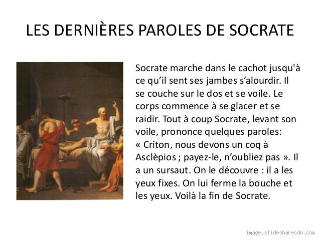 La Pensée Socratique : Un Voyage au Cœur de la Sagesse
