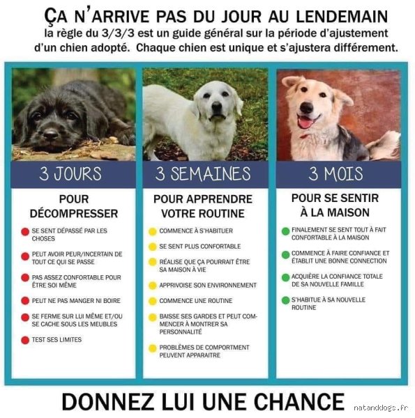 C'est quoi la règle 3-3-3 ? Comprendre enfin cette méthode qui bouleverse notre gestion du temps et de l'anxiété