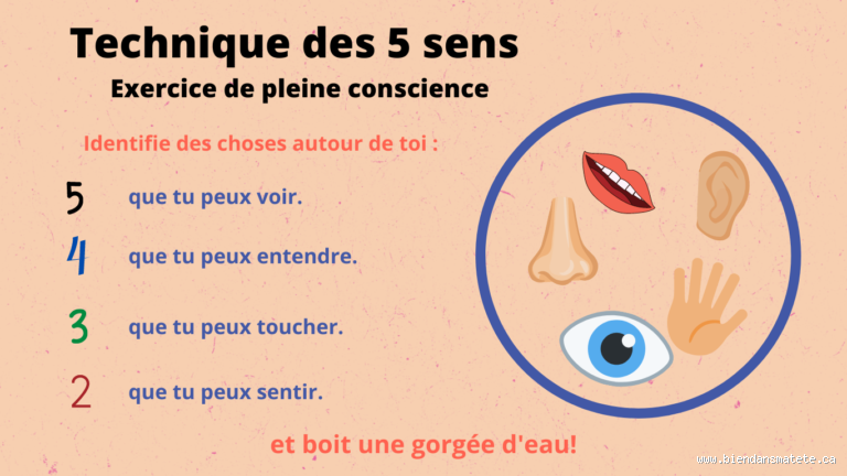 Comment décupler ses sens ? Découvrez des techniques surprenantes !