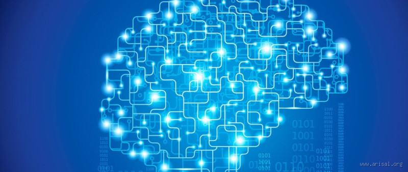Comment le cerveau construit sa réalité ? Découvrez les secrets de la perception