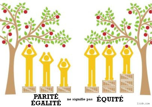 Différence entre parité et égalité : pourquoi la confusion entre ces deux concepts freine encore notre progression sociétale