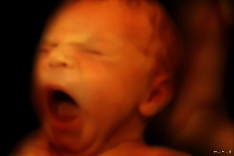 Le bébé pleure-t-il dans le ventre de sa mère ? La science lève enfin le voile sur ce mystère utérin