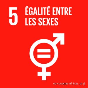 Qu’est-ce que l’objectif 5, l’égalité des sexes ? Comprendre le défi majeur du siècle pour transformer notre société