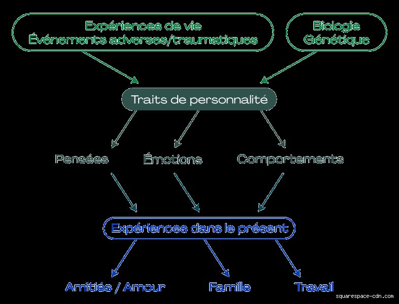 Qu'est-ce que la personnalité (10 points) ?