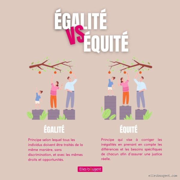 Quel est le principe fondamental de l'équité ? Comprendre enfin la nuance qui sépare le juste de l'égal