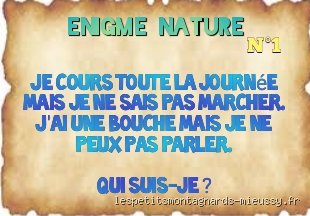 Quelle énigme peut courir mais ne peut pas marcher ? Le secret derrière l'eau et ses mystères sémantiques