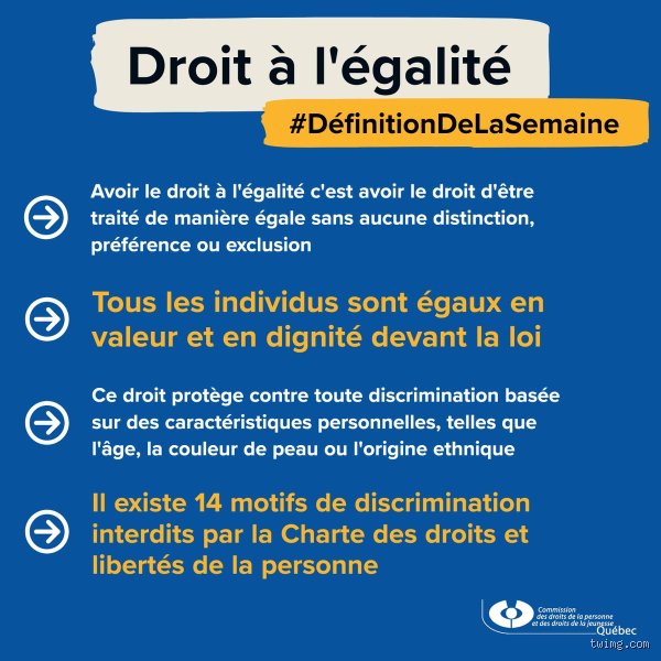 Quelle est la définition d'égalité en droit ? Décryptage d'un principe fondateur entre mythe républicain et réalités juridiques