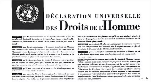 Quelle est la différence entre "droits humains" et "droits de l'homme" ? Le décryptage complet d'un débat sémantique qui agite la France