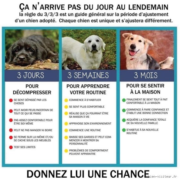 Quelle est la règle des 3-3-3 pour votre journée et pourquoi cette méthode de productivité bouscule-t-elle nos agendas saturés ?