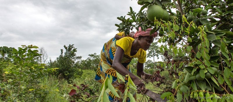 Bénin : Vraie richesse ou mirage économique ? Décryptage sans langue de bois !