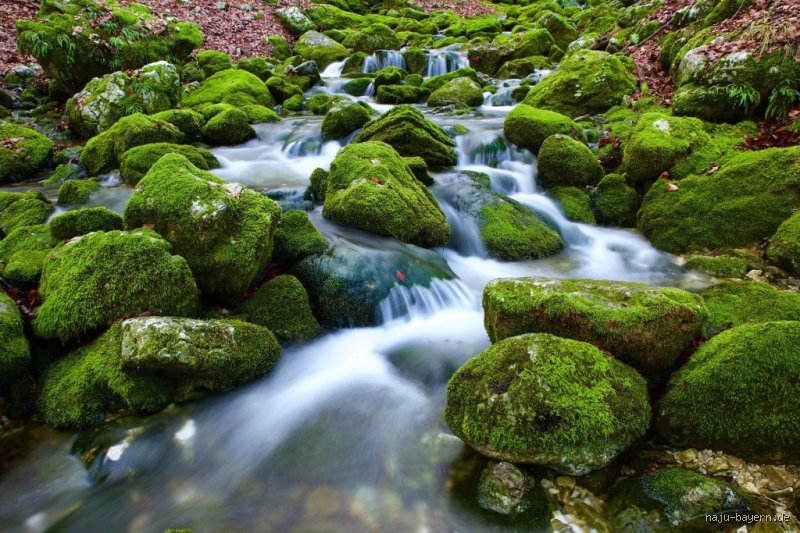 Quelle Nature Cherchons-Nous Vraiment ? Plongée au Cœur de Nos Besoins Essentiels
