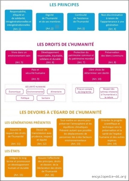 Quelles sont les 4 générations des droits de l'homme ? Comprendre l'évolution d'un idéal juridique entre conquêtes et nouvelles menaces