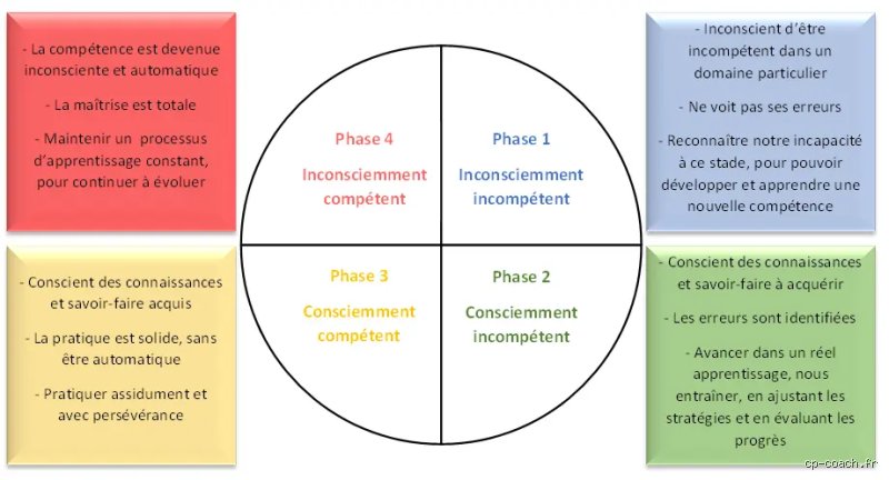 Quelles sont les 4 phases du développement humain ? Analyse profonde de notre métamorphose biologique et psychologique