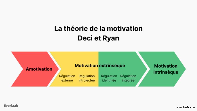 Quelles sont les 4 théories de la motivation qui transforment réellement votre productivité au bureau ?