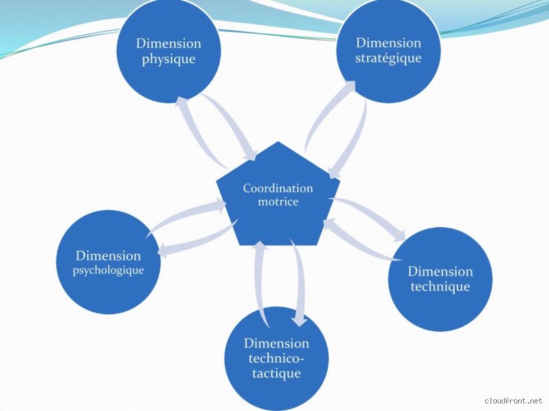 Quelles sont les 5 caractéristiques de la coordination : décryptage d’un mécanisme invisible qui sauve vos projets du chaos