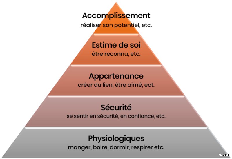 Quelles sont les 5 règles du développement personnel pour transformer radicalement votre quotidien sans tomber dans les clichés habituels