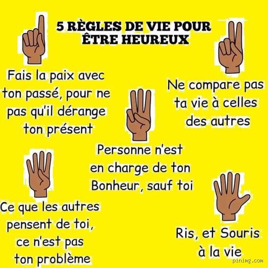 Quelles sont les 5 règles pour vivre une vie heureuse : le guide complet pour enfin trouver l'équilibre réel
