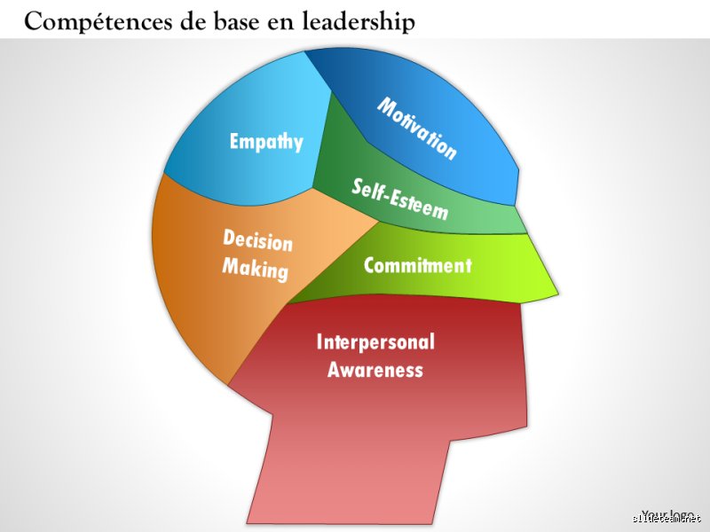 Quelles sont les 6 compétences clés du leadership stratégique pour naviguer dans l'incertitude et piloter la croissance en 2024 ?