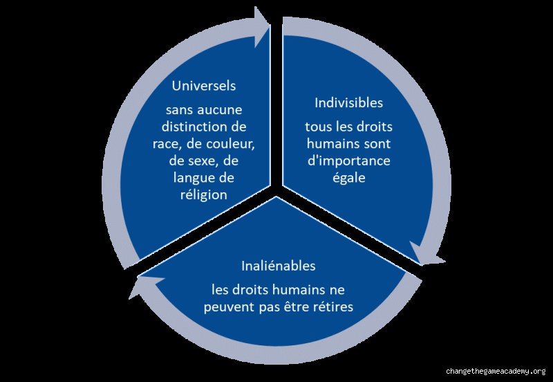 Quelles sont les caractéristiques des droits humains ? Au-delà du mythe, la réalité juridique d’un idéal universel