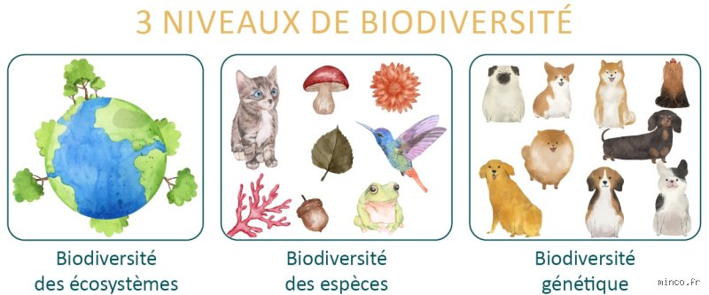 Quels sont 10 exemples de diversité et pourquoi notre vision actuelle en entreprise est-elle encore si incomplète ?