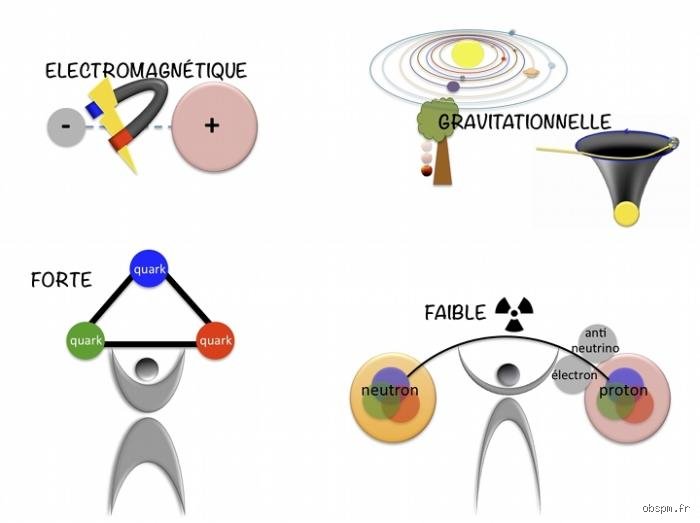 Au-delà du CV : quels sont les 4 éléments de la théorie de la force situationnelle pour décoder vos équipes ?