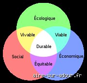 Quels sont les 4 principes du développement ?
