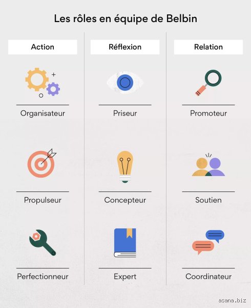 Quels sont les 4 rôles dans un groupe ? Comprendre enfin la dynamique invisible qui régit vos réunions de travail