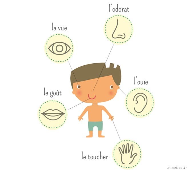 Quels sont les 4 sens de la vie ? Comprendre enfin les piliers qui structurent notre existence moderne