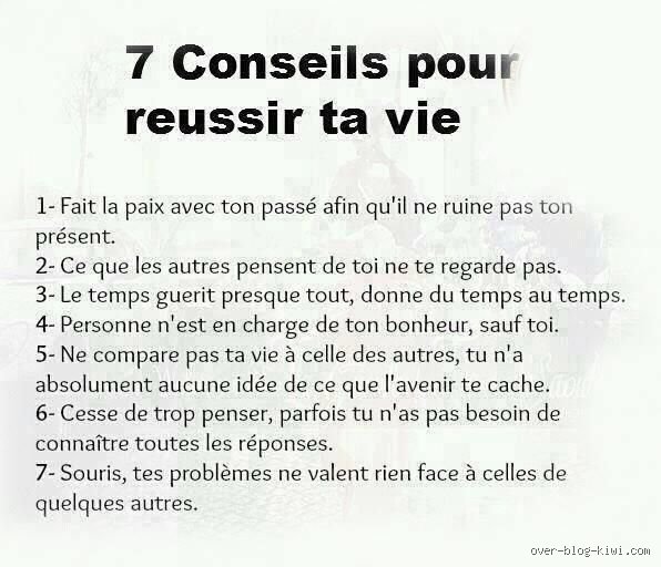 Quels sont les 7 conseils pour réussir sa vie : le guide sans fioritures pour enfin transformer l'essai