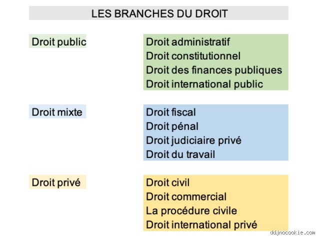 Quels sont les différents types de droits ? Voyage au cœur d'une architecture juridique bien plus complexe qu'il n'y paraît