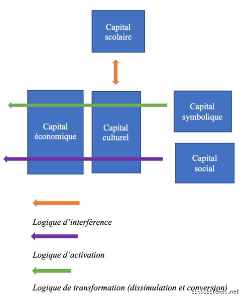 Les trois concepts clés de Pierre Bourdieu pour décoder enfin les mécanismes invisibles de notre domination sociale