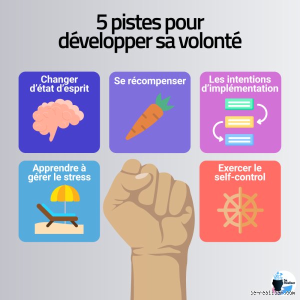 Quels sont les types de volonté ? Comprendre les mécanismes profonds de la décision pour enfin passer à l'action