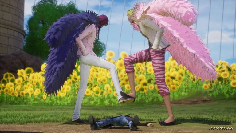 Qui a vaincu Doflamingo ? Réponse et analyse détaillée