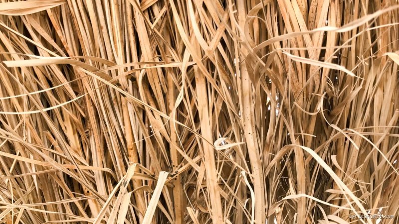 C'est quoi de la paille ?
