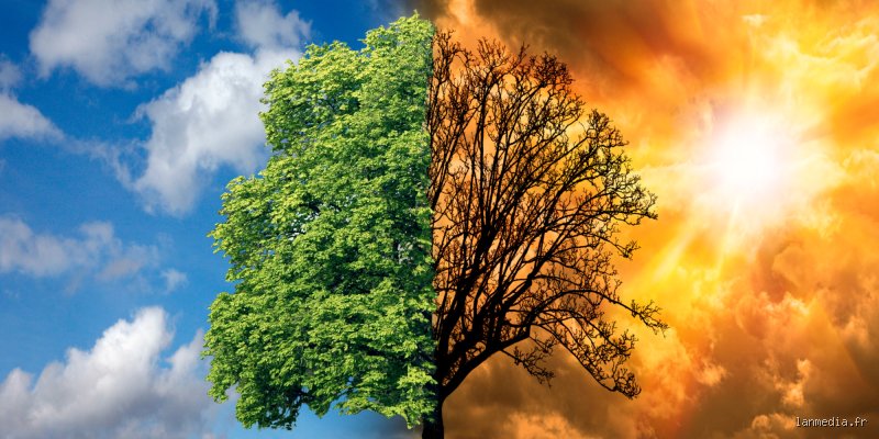 Comment se débarrasser du réchauffement climatique ?