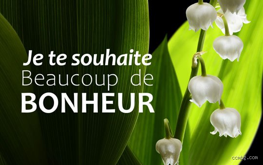 Comment on écrit Je vous souhaite beaucoup de bonheur ?