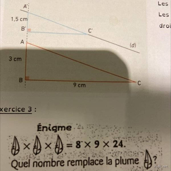Quel nombre remplace la plume ?