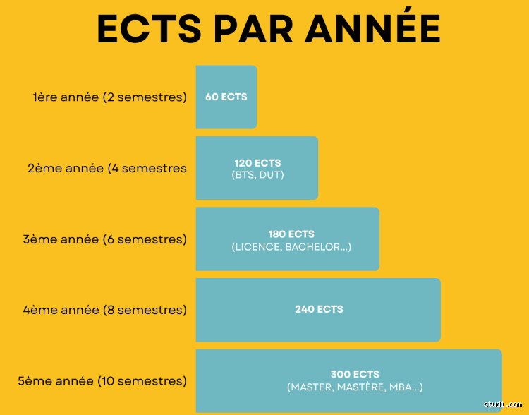 Comment ça marche les ECTS ? Le guide ultime pour comprendre le système de crédits universitaires européens