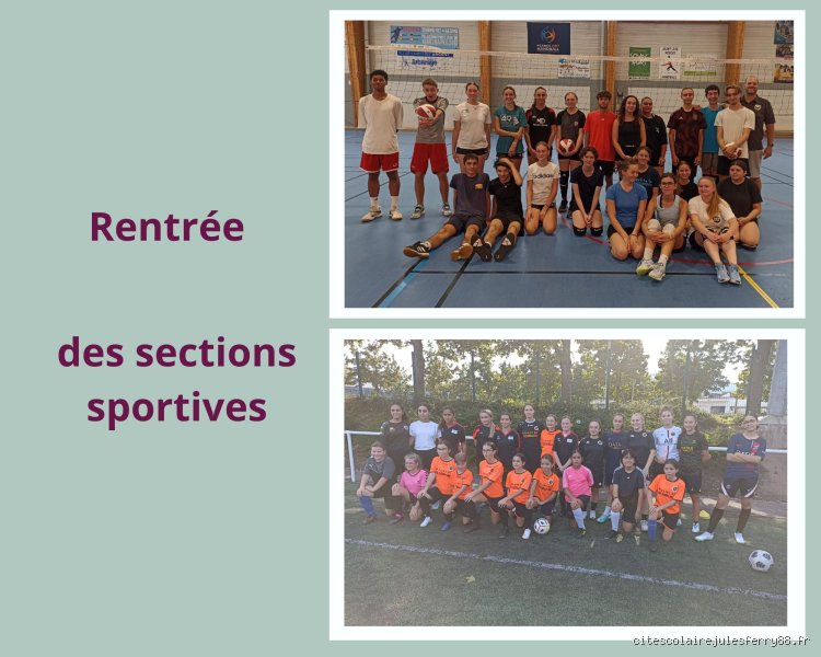 Le guide honnête pour réussir son entrée en section sportive : au-delà des tests physiques