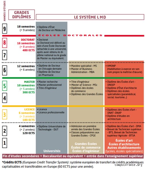 Est-ce que les diplômes français sont reconnus aux USA ? Ce qu'il faut savoir avant de tenter l'expatriation américaine